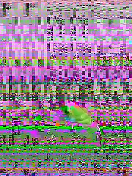 Snapshot of bihf_dam chatting on 04/14/26, 08:48 bihf dam online show from 04/14/26, 08:48