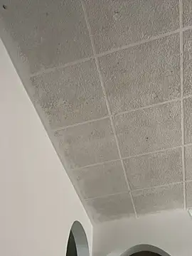 LICEET online show from 09/25/25, 03:27