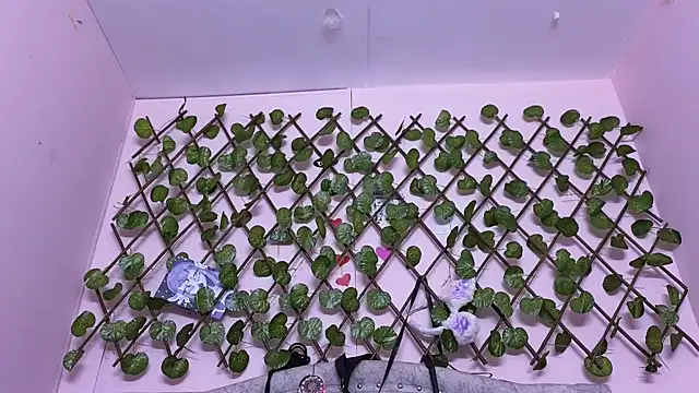 Snapshot of katalinathxandbritney1 chatting on 09/24/25, 05:05 katalinathxandbritney1 online show from 09/24/25, 05:05