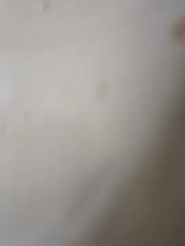 Gusttavotesudoxxvvc online show from 10/22/25, 05:08