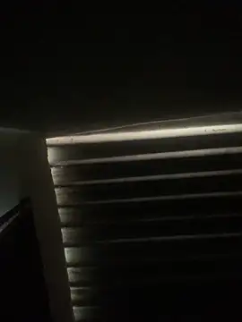 Snapshot of envolvemteX chatting on 03/01/26, 10:17 envolvemteX online show from 03/01/26, 10:17