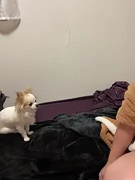 h415a812 online show from 11/04/25, 07:35