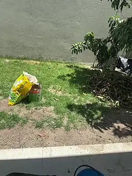 XUCRUTES42 online show from 02/07/26, 03:27