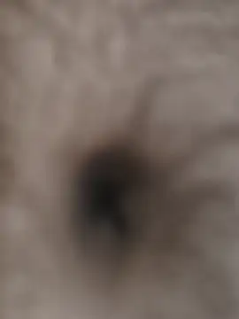 beststripy online show from 08/04/26, 08:33