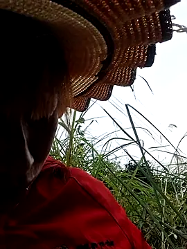 ngocngoc cute online show from 01/14/26, 06:19