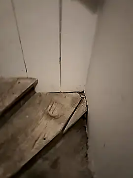Floppy44 online show from 04/29/26, 01:21