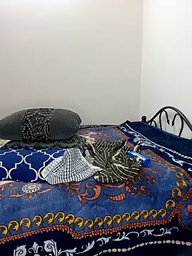 Chadni kannada online show from 02/28/26, 04:52