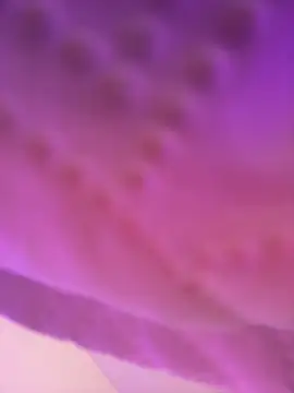 AmberMoss1 online show from 11/27/25, 08:11