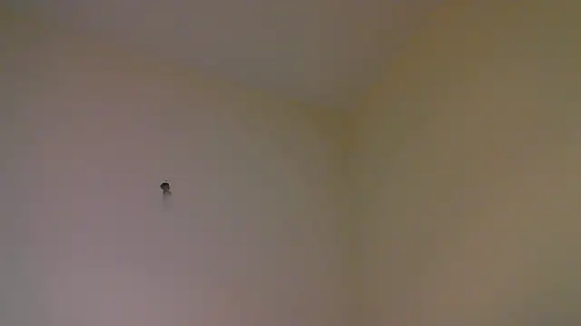 str8matesirishoz online show from 10/15/25, 04:01