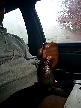 ANDACONDA-PYTHON online show from 11/05/25, 06:41