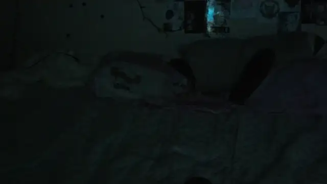 Snapshot of FairyFennec chatting on 10/08/25, 01:58 FairyFennec online show from 10/08/25, 01:58