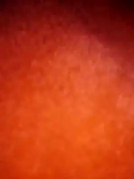 amolicars online show from 11/21/25, 07:45