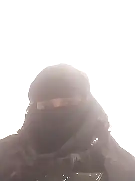 amolicars online show from 11/24/25, 02:28