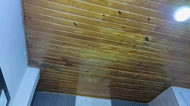 Bonnali lune online show from 04/19/26, 04:45