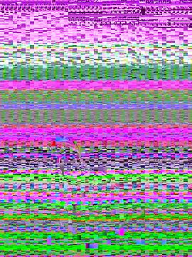 pnwzo online show from 10/03/25, 08:28