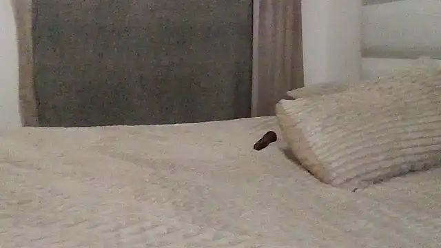 SexyNonnyy online show from 10/10/25, 06:40