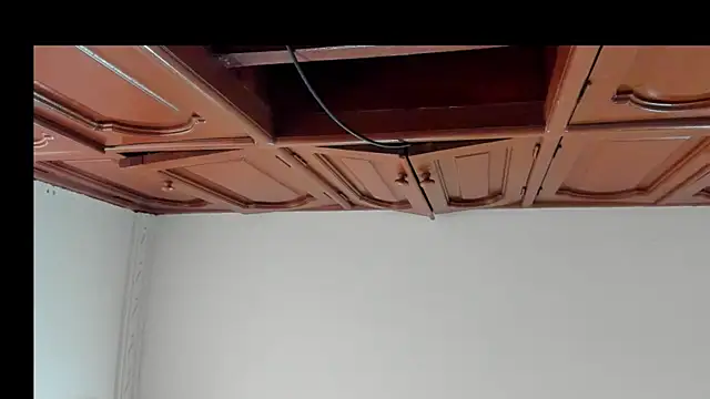 alice  brow online show from 10/08/25, 02:04