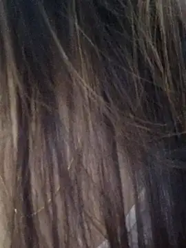 DPK25 online show from 12/21/25, 11:06