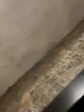 Snapshot of BrandonBlack chatting on 02/07/26, 12:25 BrandonBlack online show from 02/07/26, 12:25