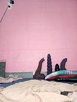 Rose 194 online show from 11/18/25, 02:06