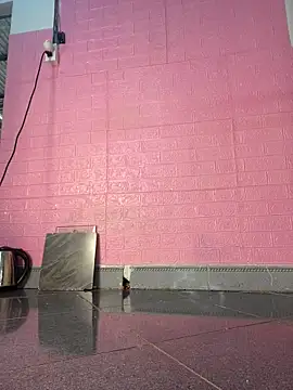 Snapshot of Rose_194 chatting on 03/13/26, 01:56 Rose 194 online show from 03/13/26, 01:56