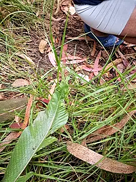 Snapshot of maxvergo chatting on 04/15/26, 09:37 maxvergo online show from 04/15/26, 09:37