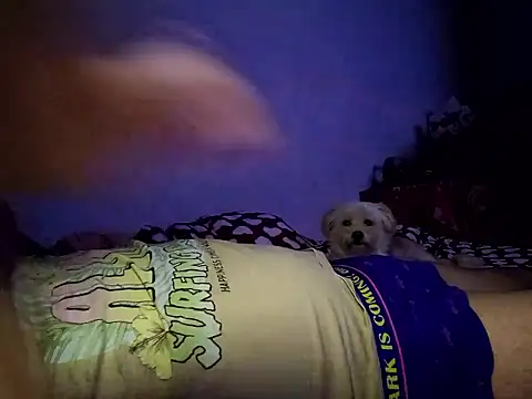 Alexandra23d online show from 10/02/25, 09:22