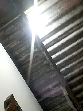 Madison 1 online show from 11/06/25, 04:13