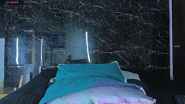 DimitriDeluxe online show from 11/15/25, 01:07