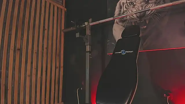 DimitriDeluxe online show from 11/29/25, 08:12