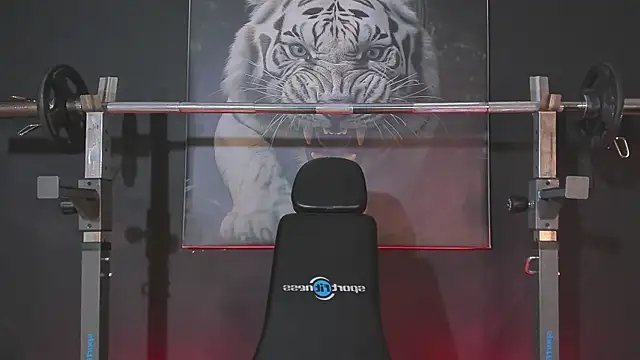 DimitriDeluxe online show from 12/03/25, 07:45