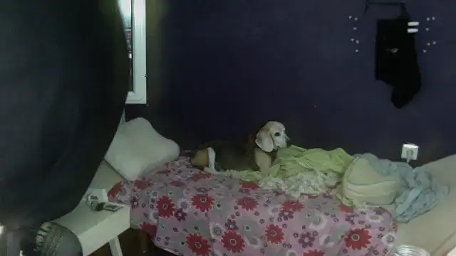 turkishTransEfsun online show from 09/13/25, 01:11