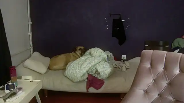 turkishTransEfsun online show from 11/03/25, 10:05