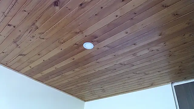 IVONNE COLLINS33 online show from 09/21/25, 02:19