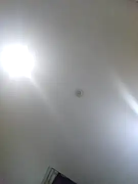 Natural Asian Girl online show from 09/23/25, 10:40