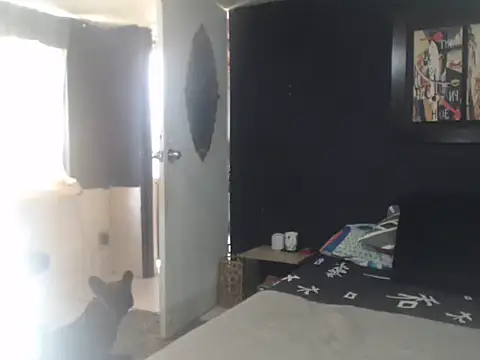 Dara-montenegro online show from 10/16/25, 06:53