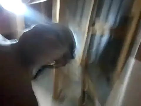 Snapshot of BigAssjuicy26 chatting on 10/27/25, 10:14 BigAssjuicy26 online show from 10/27/25, 10:14