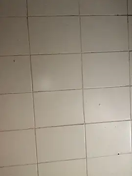 Novinhodotadomg online show from 11/05/25, 08:09