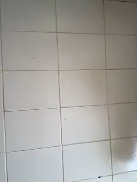 Novinhodotadomg online show from 11/06/25, 01:45