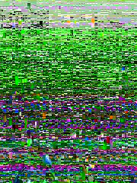 Novinhodotadomg online show from 11/15/25, 07:43