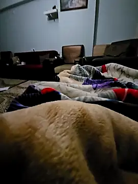 fena-sikerimmm online show from 02/21/26, 02:45