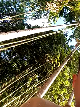 Johlrd online show from 12/17/25, 02:06