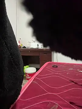 crhong666 online show from 12/16/25, 12:26