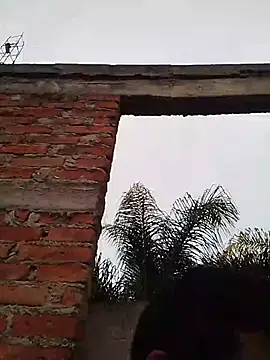 Snapshot of TragicAirplane168 chatting on 12/14/25, 11:31 TragicAirplane168 online show from 12/14/25, 11:31