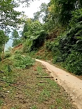 Dung-Thao19 online show from 11/24/25, 02:55