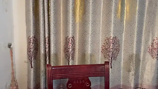 w5206t online show from 11/13/25, 12:37