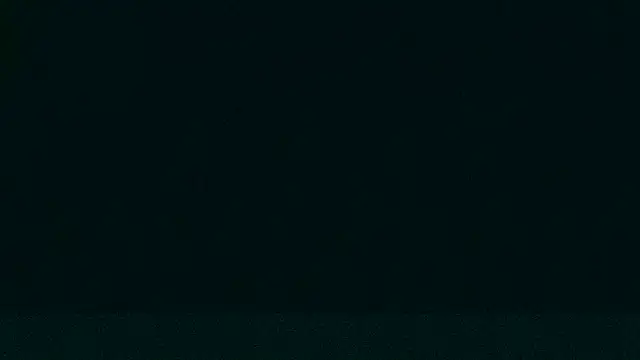 Snapshot of LeeCox chatting on 12/21/24, 09:33 LeeCox online show from 12/21/24, 09:33