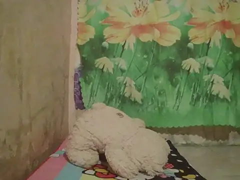 sexymorenal18 online show from 09/27/25, 01:38