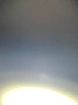 Snapshot of Yamamoto-Sado chatting on 11/12/25, 09:03 Yamamoto-Sado online show from 11/12/25, 09:03