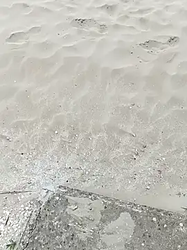 pegaso369 online show from 09/22/25, 01:13